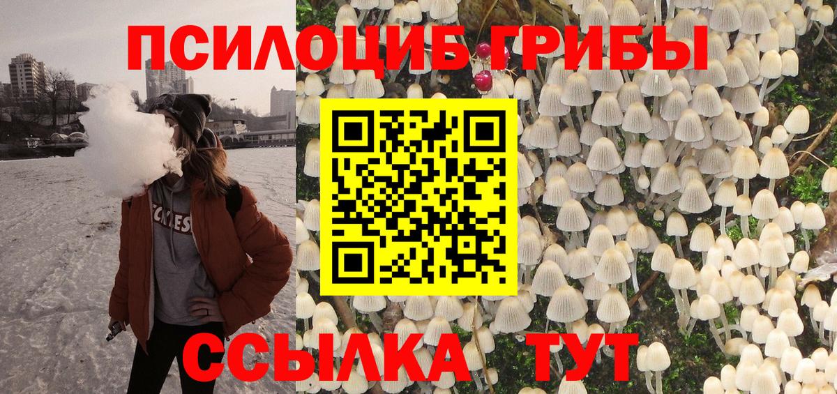 Галлюциногенные грибы Magic Shrooms Сердобск