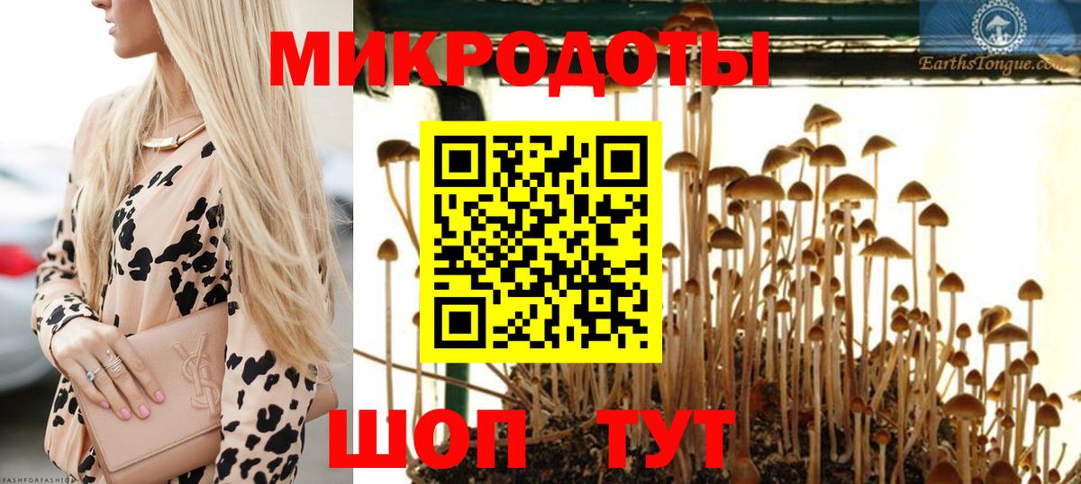 продажа наркотиков  Галлюциногенные грибы Magic Shrooms  Вход с VPN  Сердобск 