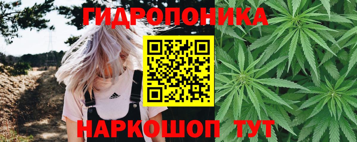 Шишки марихуана план  МАРИХУАНА THC 21%  Вход с VPN  Сердобск  МАРИХУАНА LSD WEED 